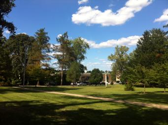 CC playing fields
