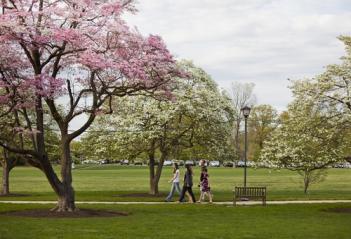 del val campus4